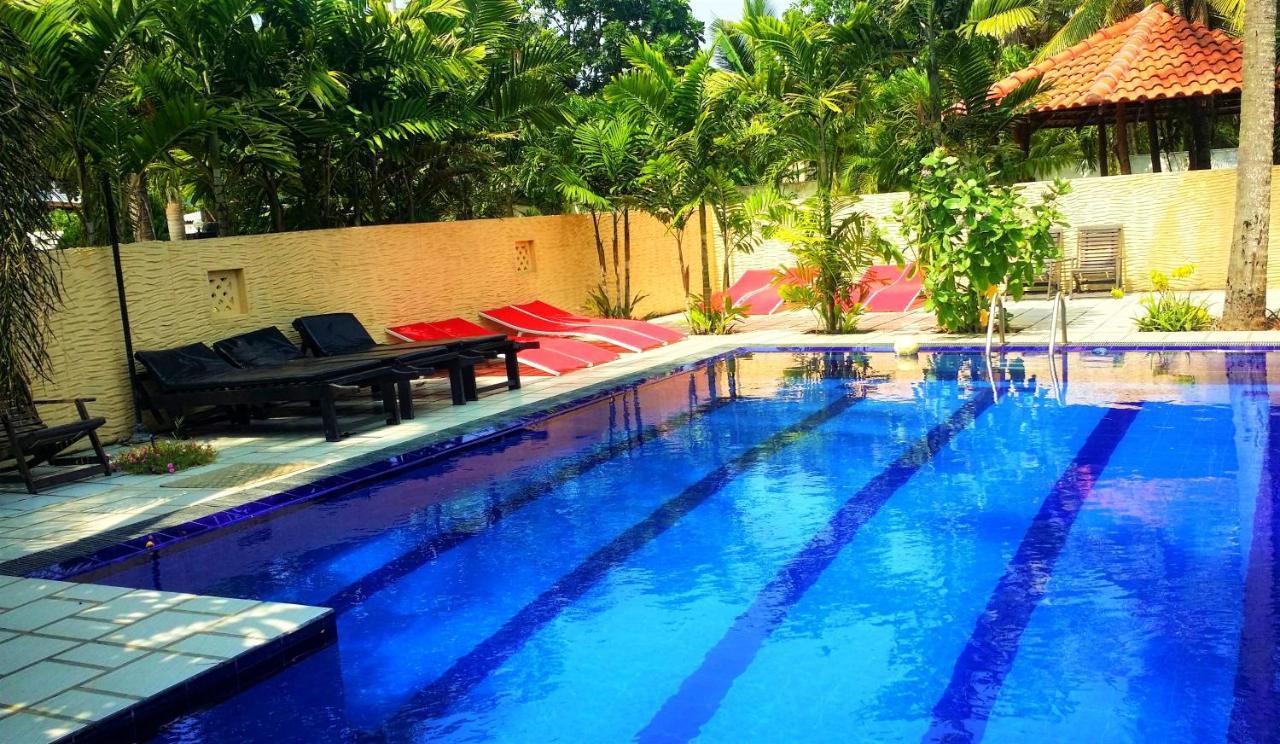 Maple Leaf Hotel نيجومبو المظهر الخارجي الصورة